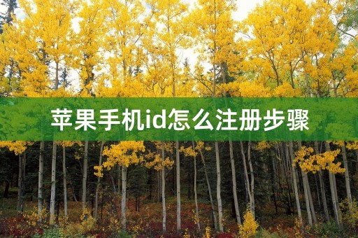 苹果手机id怎么注册步骤