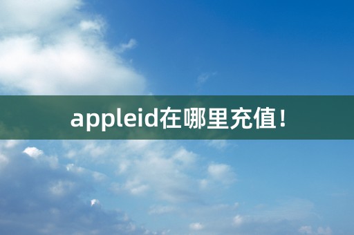 appleid在哪里充值！