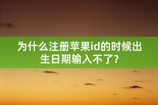 为什么注册苹果id的时候出生日期输入不了？