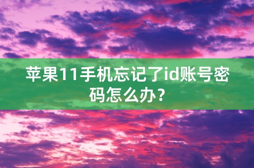 苹果11手机忘记了id账号密码怎么办？