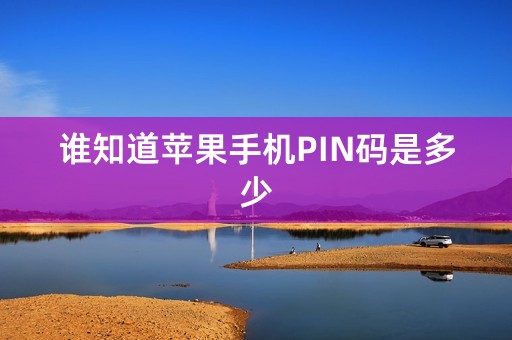 谁知道苹果手机PIN码是多少