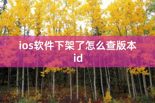 ios软件下架了怎么查版本id