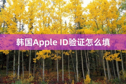 韩国Apple ID验证怎么填