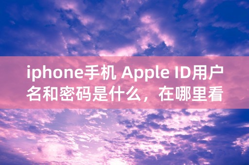 iphone手机 Apple ID用户名和密码是什么，在哪里看？