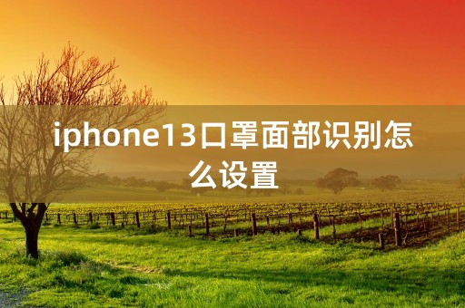 iphone13口罩面部识别怎么设置