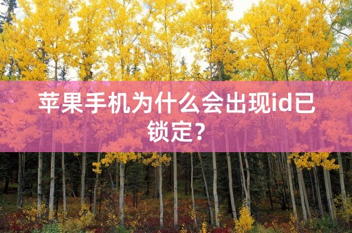 苹果手机为什么会出现id已锁定？