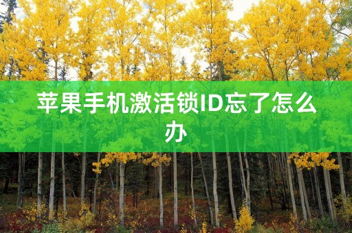 苹果手机激活锁ID忘了怎么办