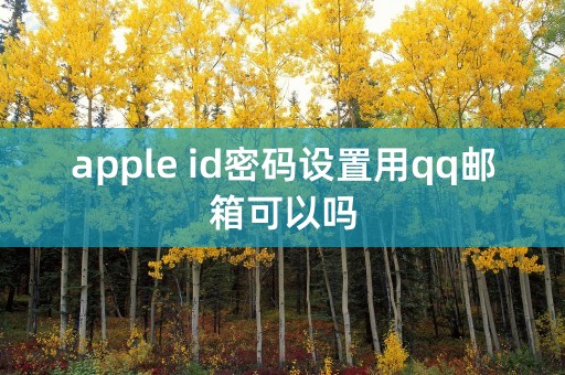 apple id密码设置用qq邮箱可以吗