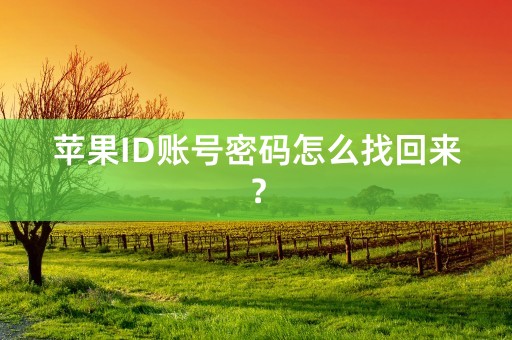 苹果ID账号密码怎么找回来？