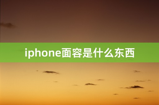 iphone面容是什么东西