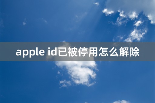 apple id已被停用怎么解除