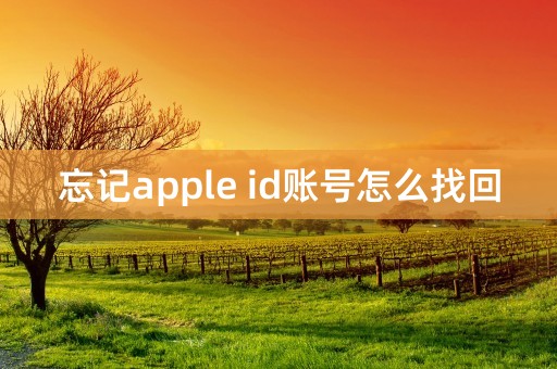 忘记apple id账号怎么找回