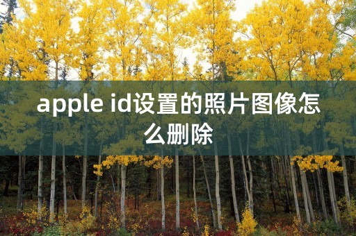 apple id设置的照片图像怎么删除