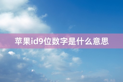 苹果id9位数字是什么意思