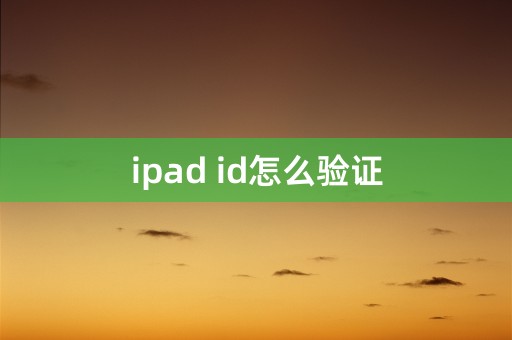 ipad id怎么验证