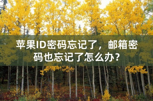 苹果ID密码忘记了，邮箱密码也忘记了怎么办？