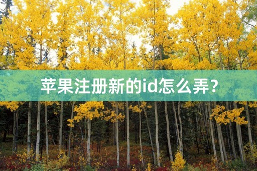 苹果注册新的id怎么弄？