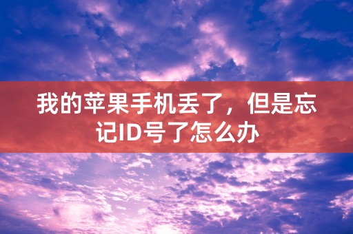 我的苹果手机丢了，但是忘记ID号了怎么办