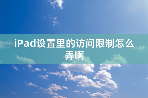 iPad设置里的访问限制怎么弄啊