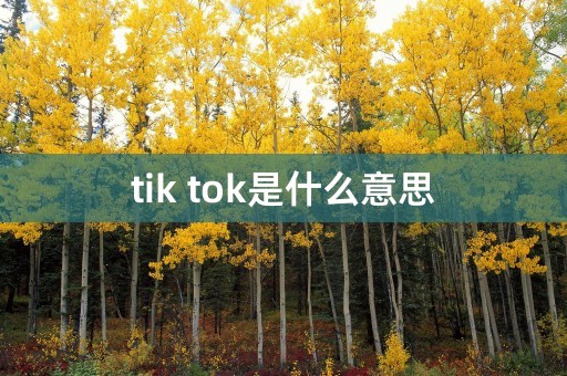 tik tok是什么意思