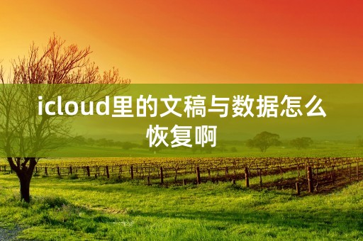 icloud里的文稿与数据怎么恢复啊