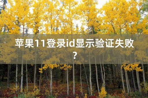 苹果11登录id显示验证失败？