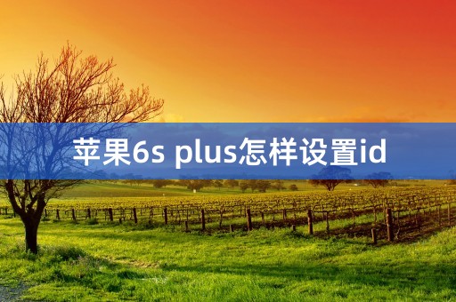 苹果6s plus怎样设置id