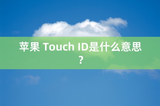 苹果 Touch ID是什么意思？