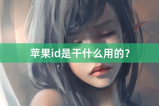 苹果id是干什么用的？