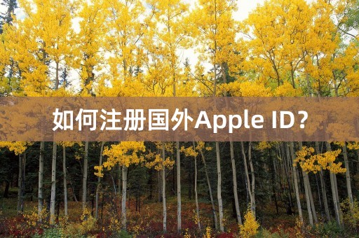 如何注册国外Apple ID？