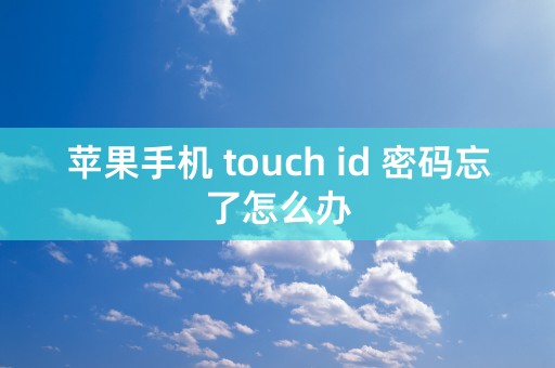 苹果手机 touch id 密码忘了怎么办