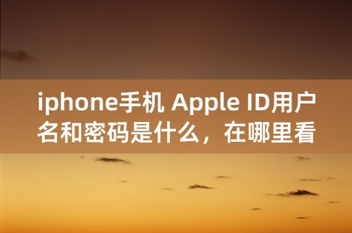 iphone手机 Apple ID用户名和密码是什么，在哪里看？