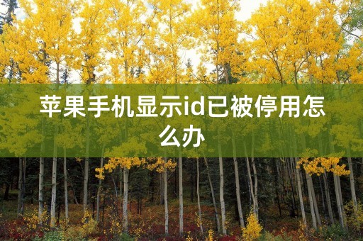 苹果手机显示id已被停用怎么办