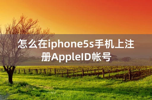 怎么在iphone5s手机上注册AppleID帐号