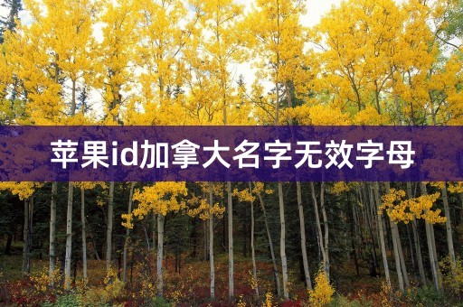 苹果id加拿大名字无效字母