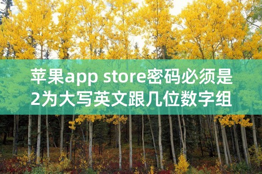 苹果app store密码必须是2为大写英文跟几位数字组成