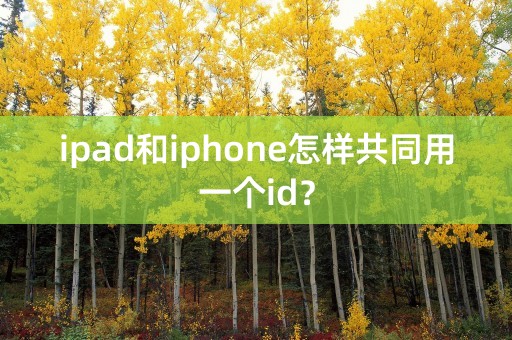 ipad和iphone怎样共同用一个id？