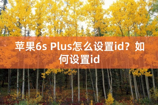 苹果6s Plus怎么设置id？如何设置id