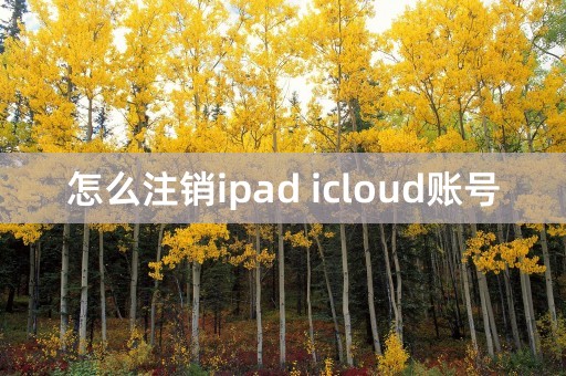 怎么注销ipad icloud账号