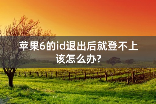 苹果6的id退出后就登不上该怎么办?