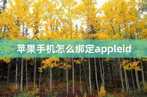 苹果手机怎么绑定appleid