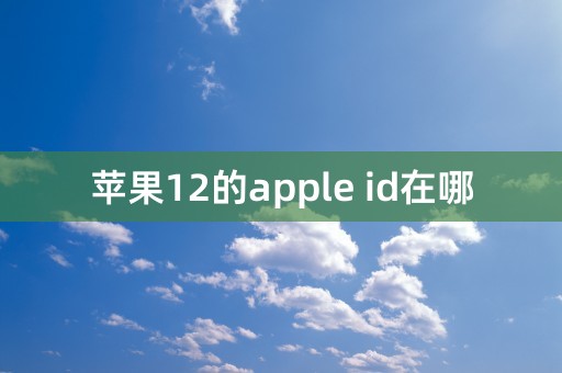 苹果12的apple id在哪