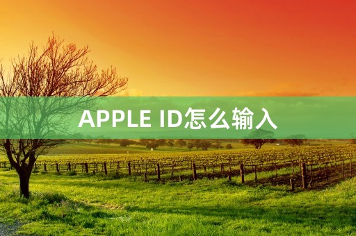 APPLE ID怎么输入