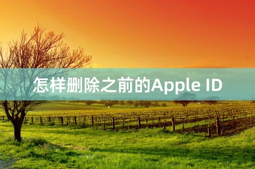 怎样删除之前的Apple ID