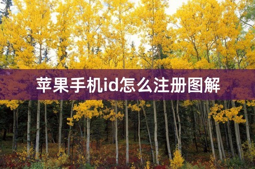 苹果手机id怎么注册图解