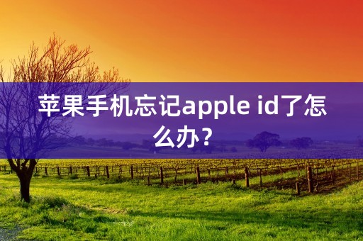 苹果手机忘记apple id了怎么办？