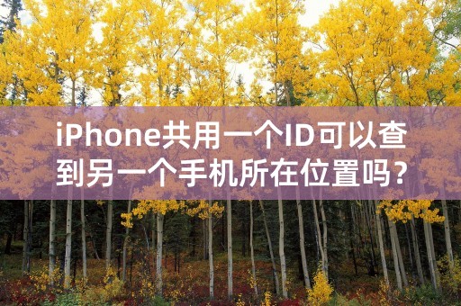 iPhone共用一个ID可以查到另一个手机所在位置吗？怎么查？