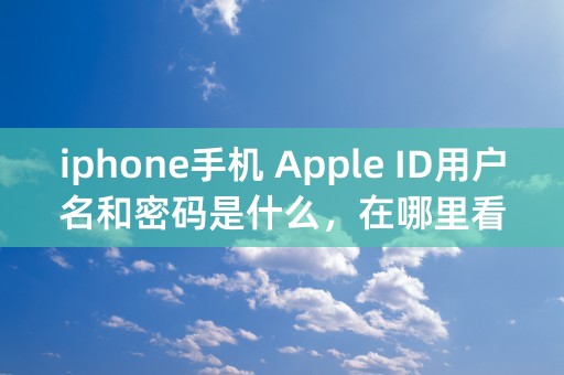 iphone手机 Apple ID用户名和密码是什么，在哪里看？