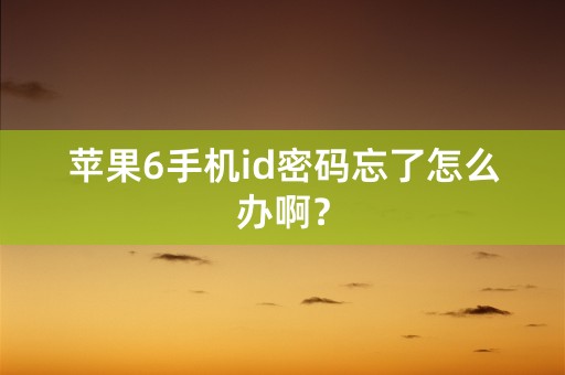 苹果6手机id密码忘了怎么办啊？