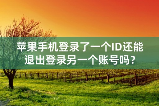 苹果手机登录了一个ID还能退出登录另一个账号吗？